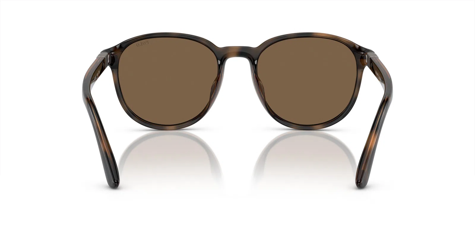 Polo 4207U Sunglasses - view 7